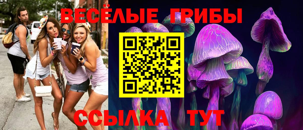 Зерноград  Галлюциногенные грибы MAGIC MUSHROOMS  где купить наркоту  Вход с VPN 