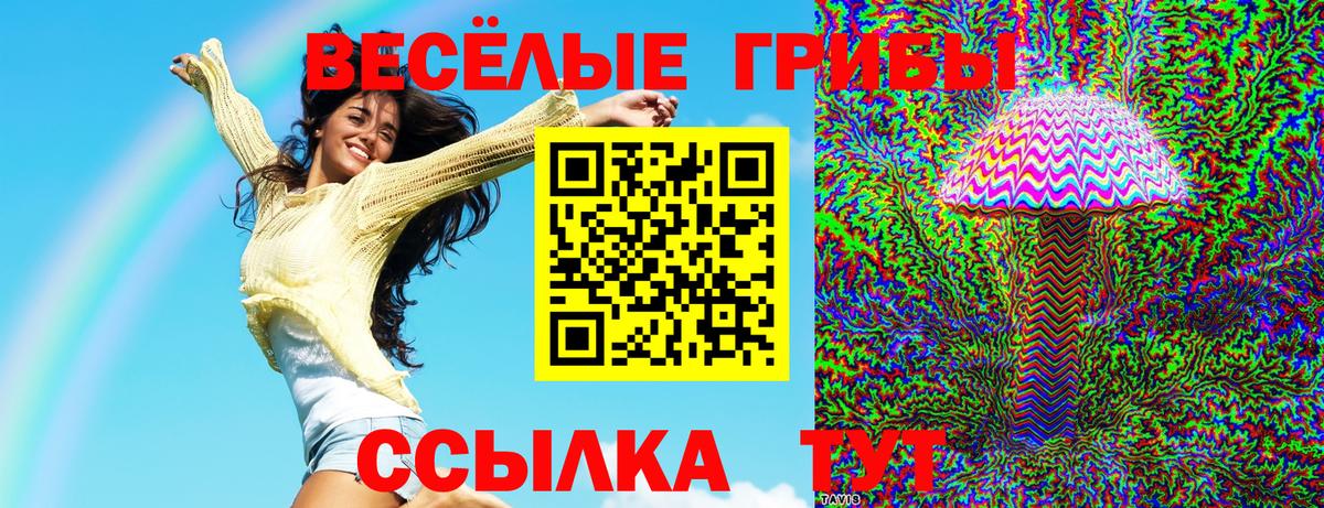 Псилоцибиновые грибы Psilocybine cubensis Зерноград